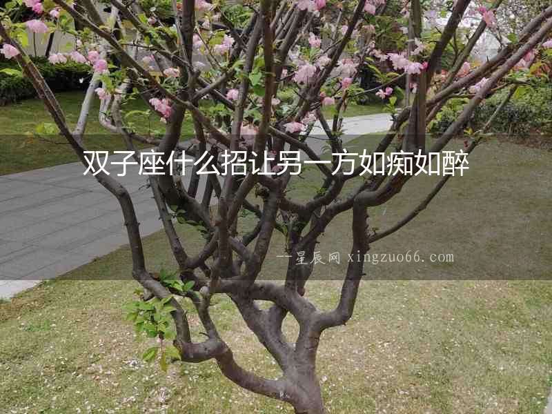 雙子座什么招讓另一方如癡如醉