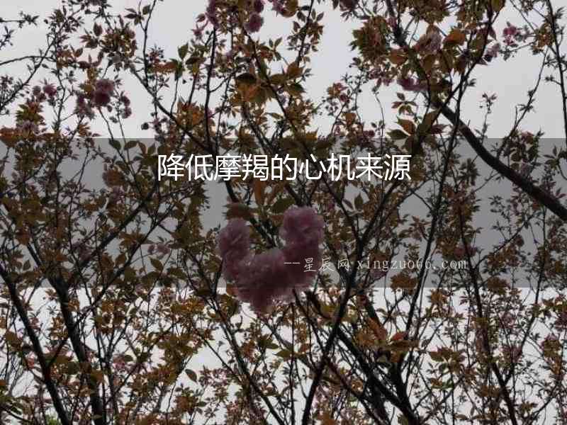 降低摩羯的心機來源