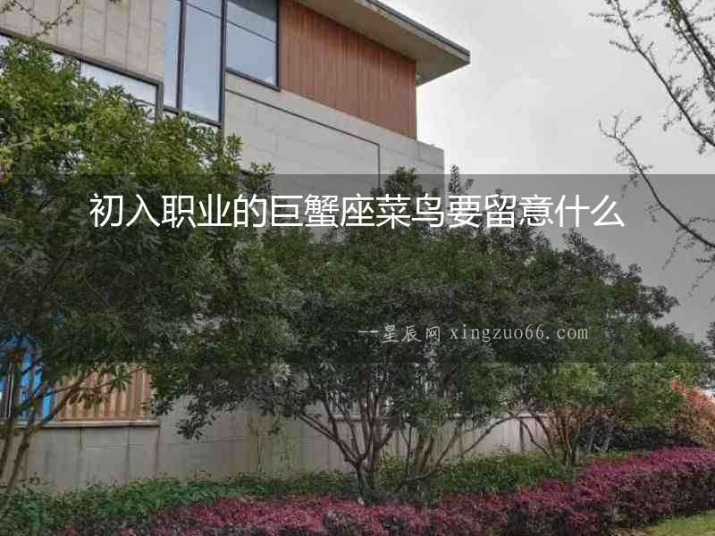 初入職業(yè)的巨蟹座菜鳥(niǎo)要留意什么