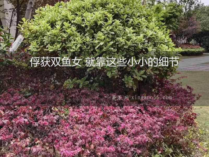 俘獲雙魚(yú)女 就靠這些小小的細(xì)節(jié)