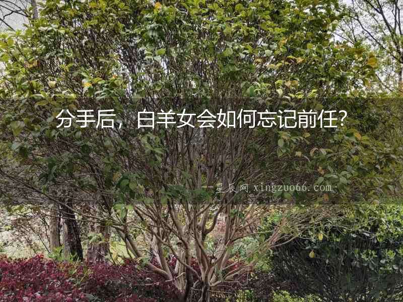 分手后，白羊女會如何忘記前任？