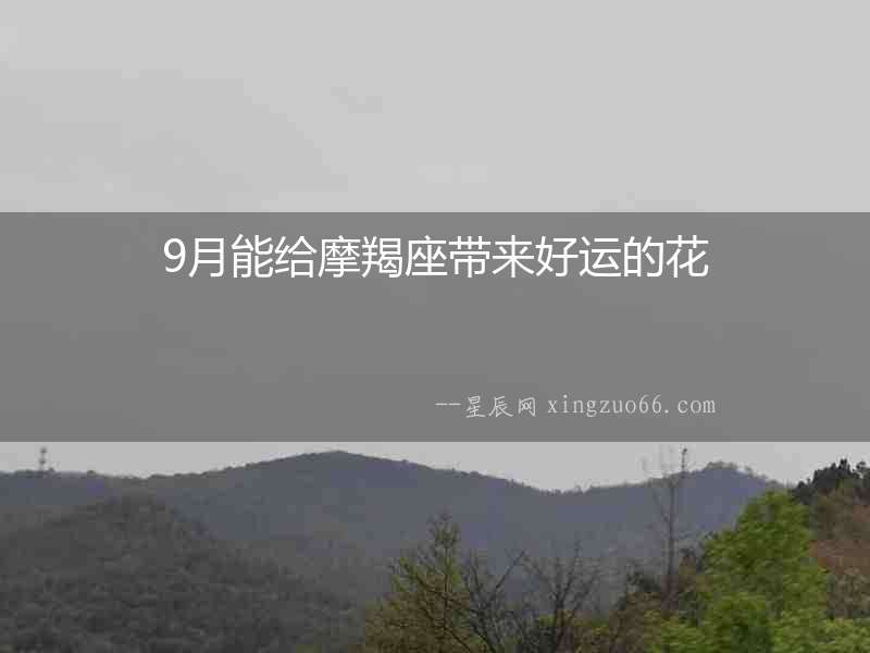 9月能給摩羯座帶來好運(yùn)的花