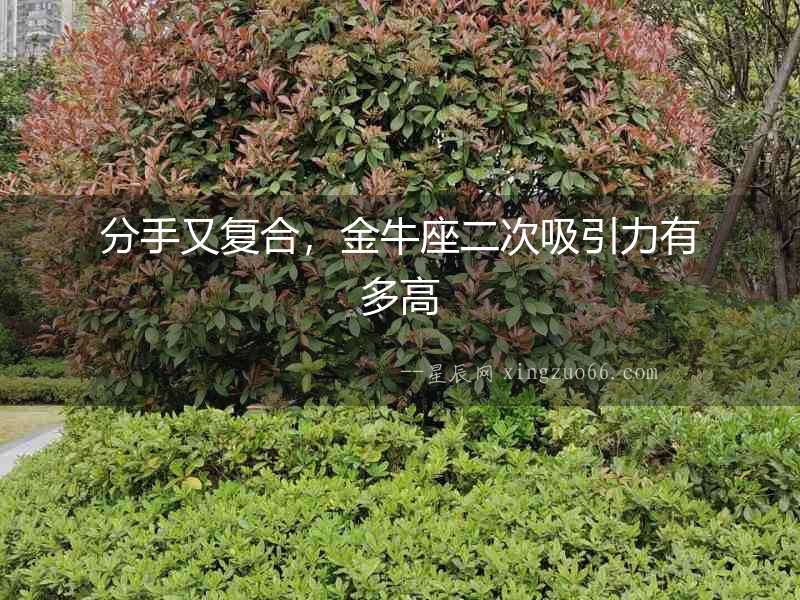 分手又復合，金牛座二次吸引力有多高