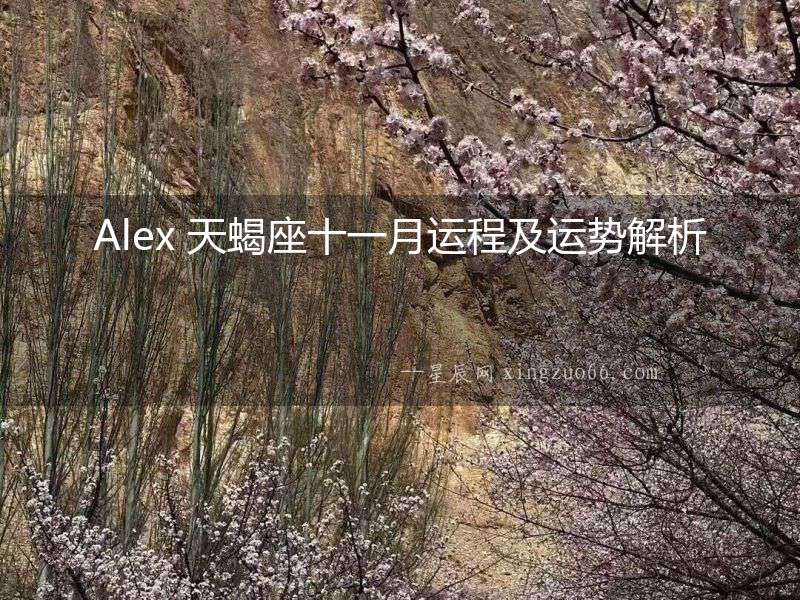 Alex 天蝎座十一月運程及運勢解析