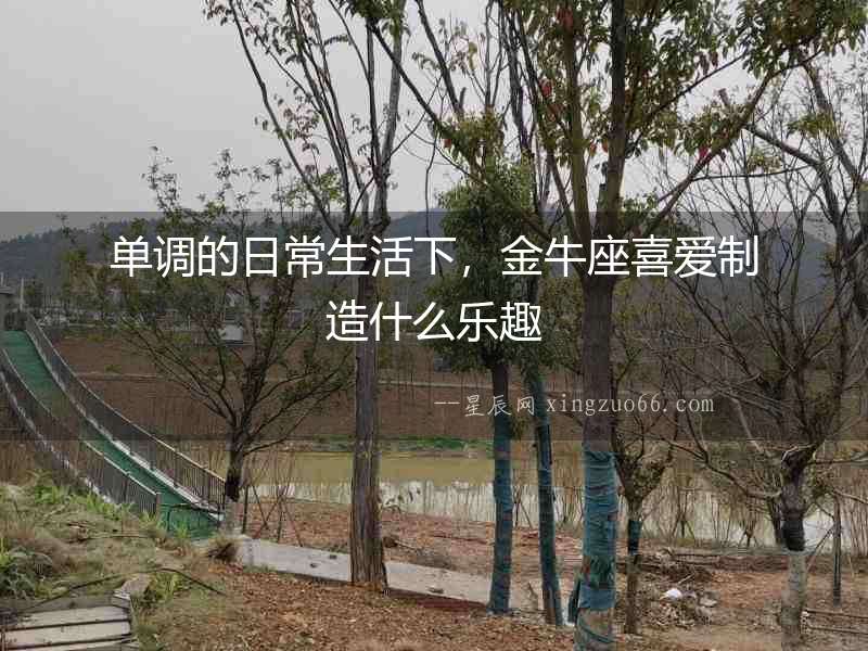 單調的日常生活下，金牛座喜愛制造什么樂趣