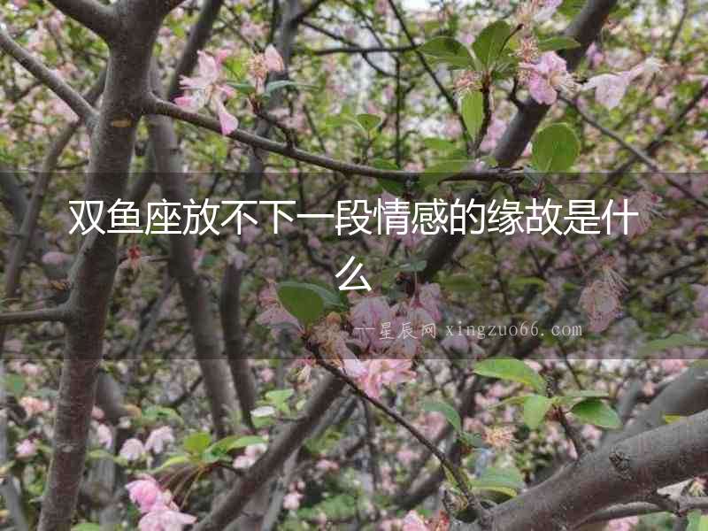 雙魚座放不下一段情感的緣故是什么