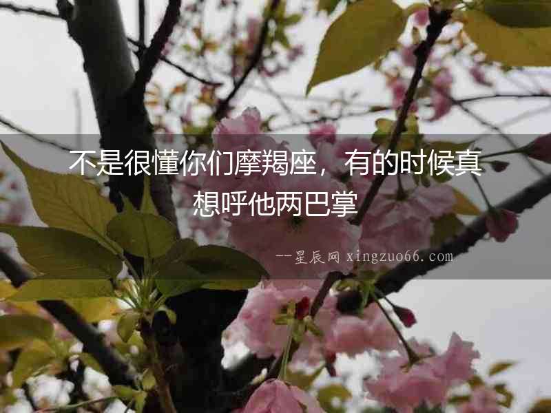 不是很懂你們摩羯座，有的時候真想呼他兩巴掌