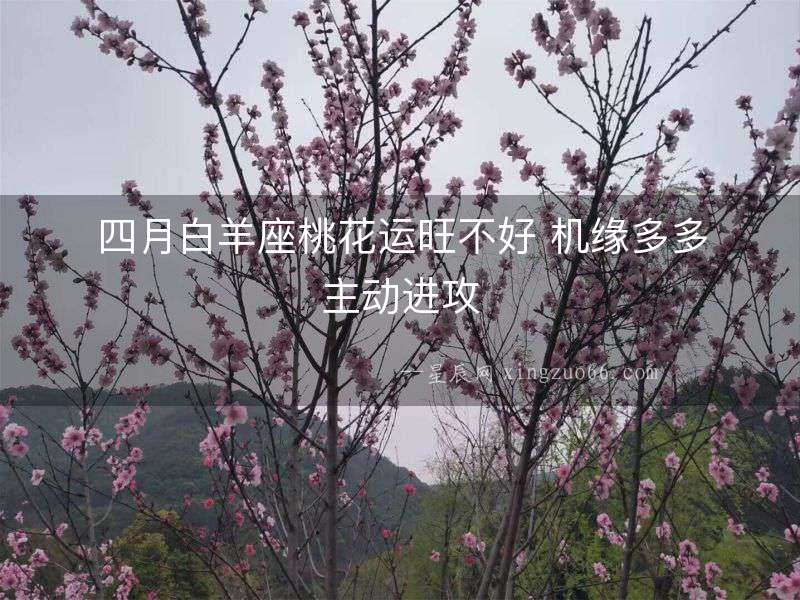 四月白羊座桃花運旺不好 機緣多多主動進攻