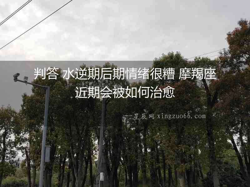 判答 水逆期后期情緒很糟 摩羯座近期會被如何治愈
