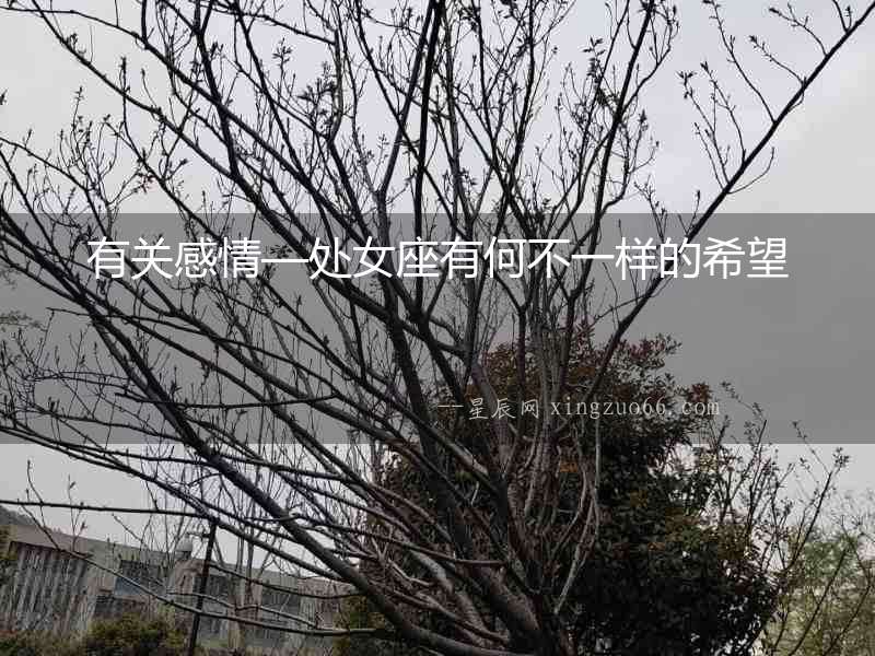 有關感情—處女座有何不一樣的希望