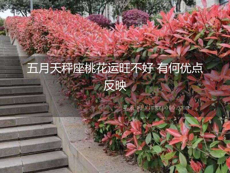 五月天秤座桃花運旺不好 有何優點反映