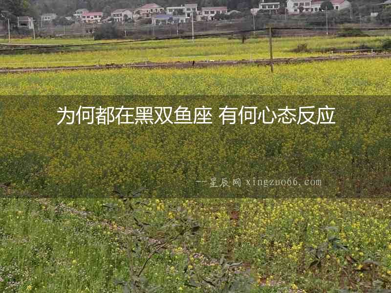 為何都在黑雙魚座 有何心態(tài)反應