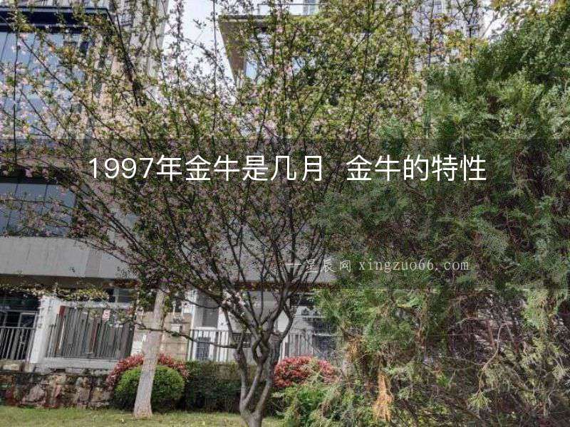 1997年金牛是幾月  金牛的特性