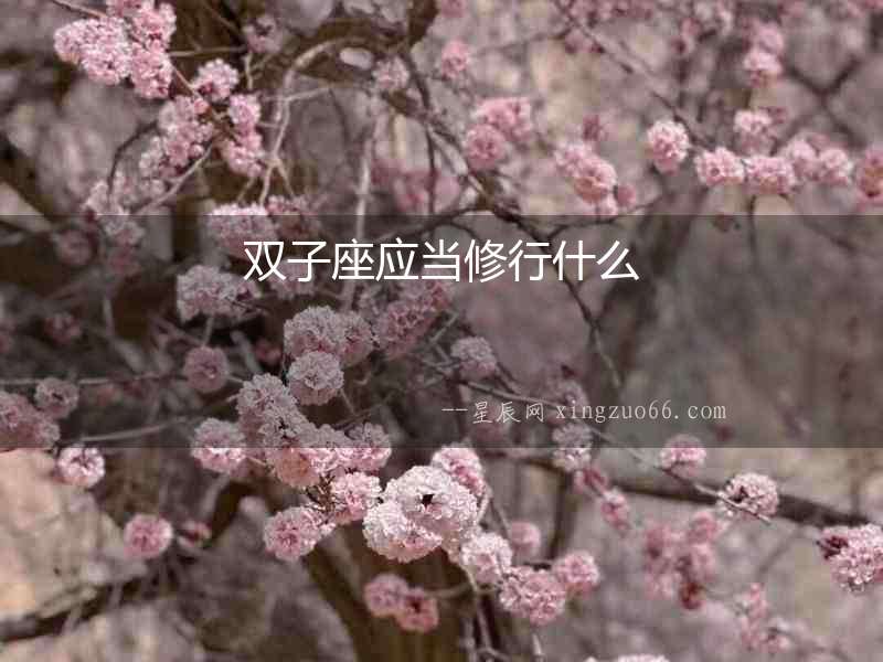 雙子座應(yīng)當(dāng)修行什么