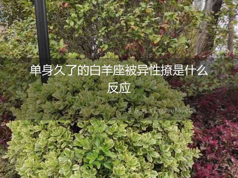 單身久了的白羊座被異性撩是什么反應