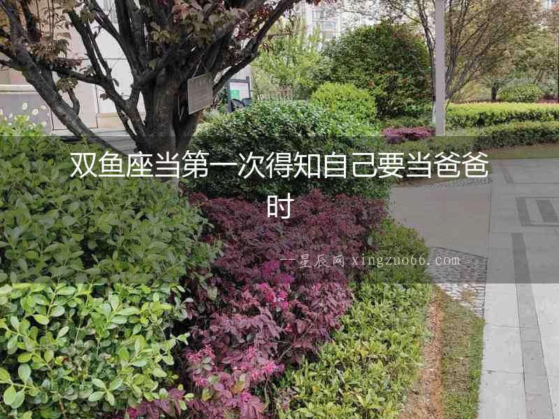 雙魚座當第一次得知自己要當爸爸時