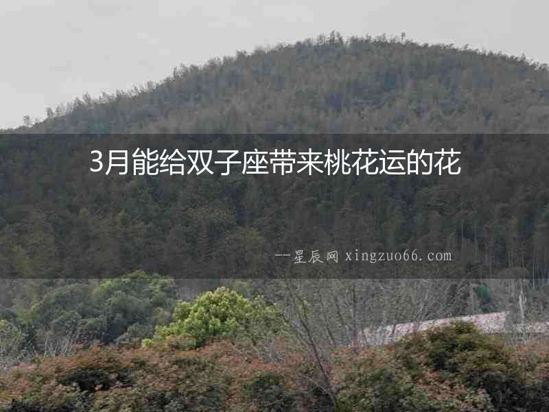 3月能給雙子座帶來桃花運的花