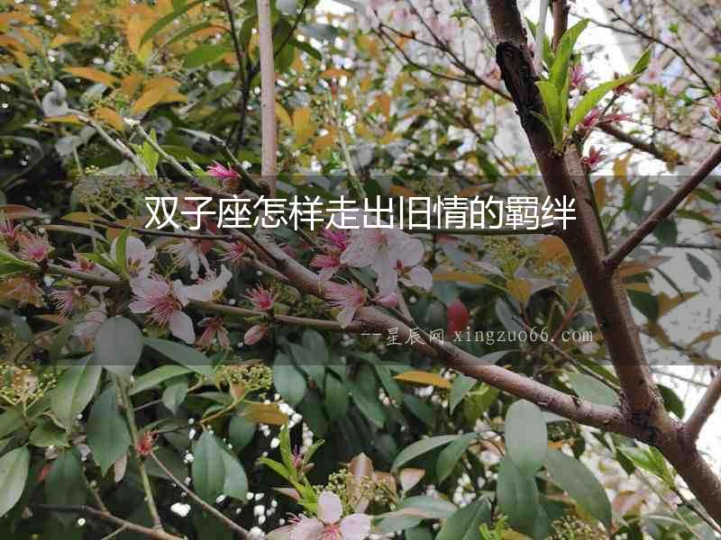 雙子座怎樣走出舊情的羈絆