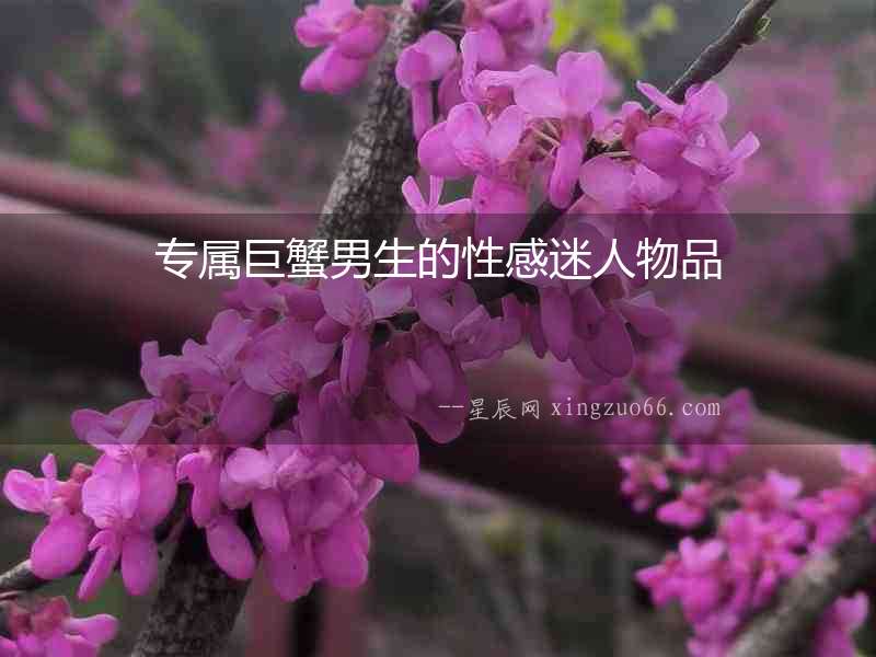 專屬巨蟹男生的性感迷人物品