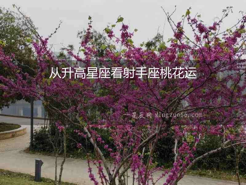 從升高星座看射手座桃花運