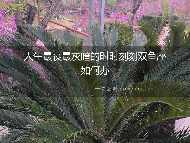 人生最喪最灰暗的時時刻刻雙魚座如何辦