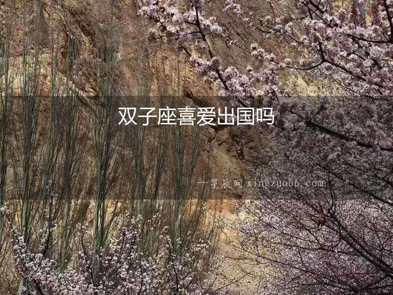 雙子座喜愛出國嗎