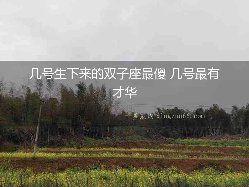 幾號生下來的雙子座最傻 幾號最有才華