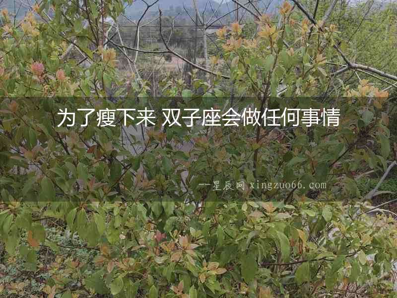 為了瘦下來 雙子座會做任何事情