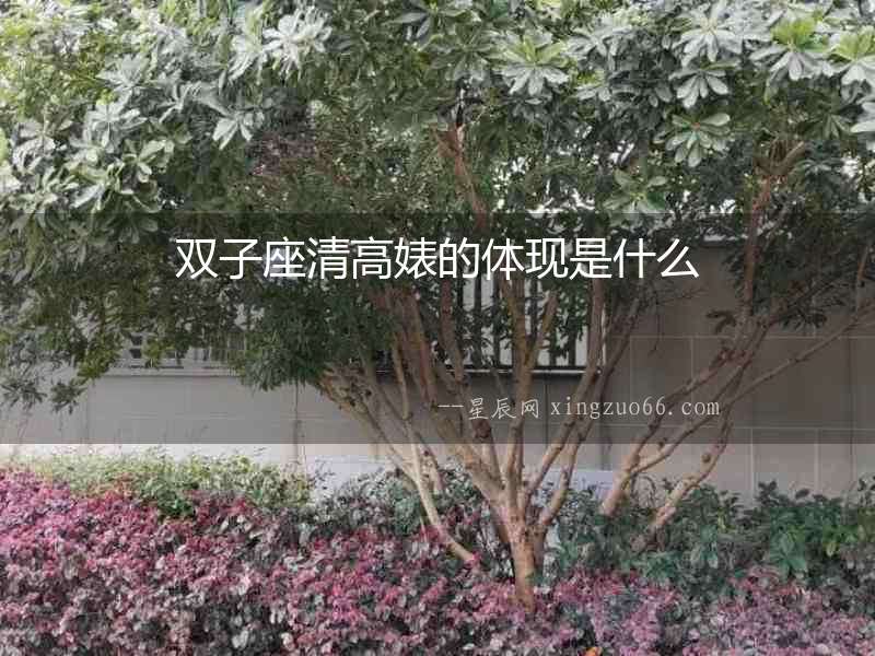 雙子座清高婊的體現(xiàn)是什么