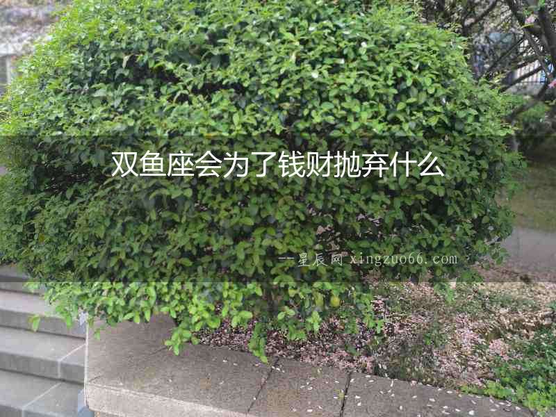 雙魚座會為了錢財拋棄什么