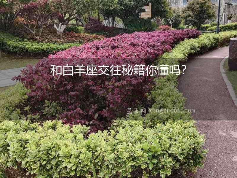 和白羊座交往秘籍你懂嗎？