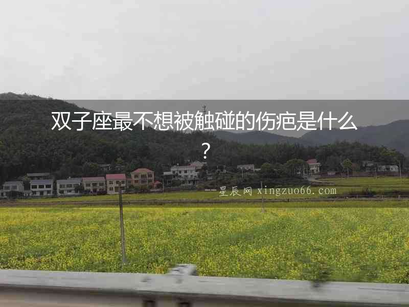 雙子座最不想被觸碰的傷疤是什么？
