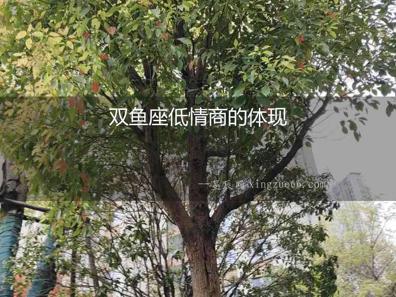 雙魚座低情商的體現