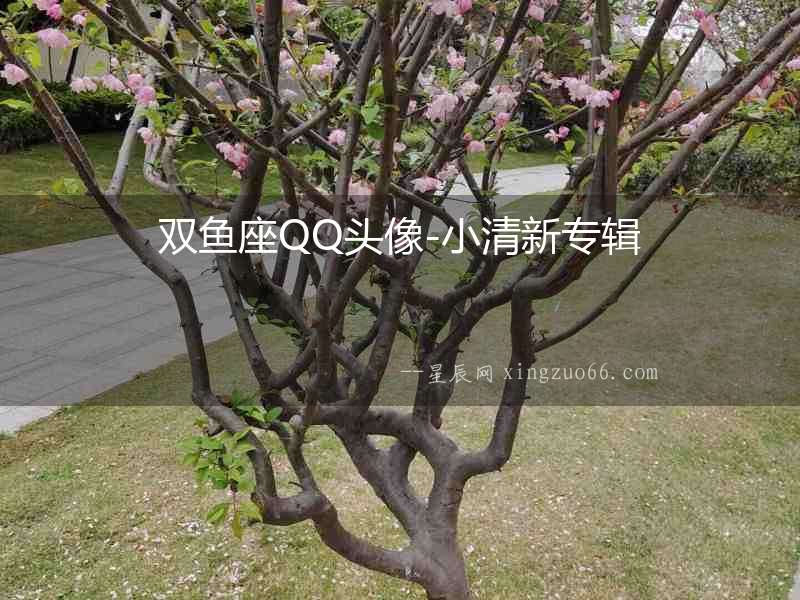 雙魚座QQ頭像-小清新專輯