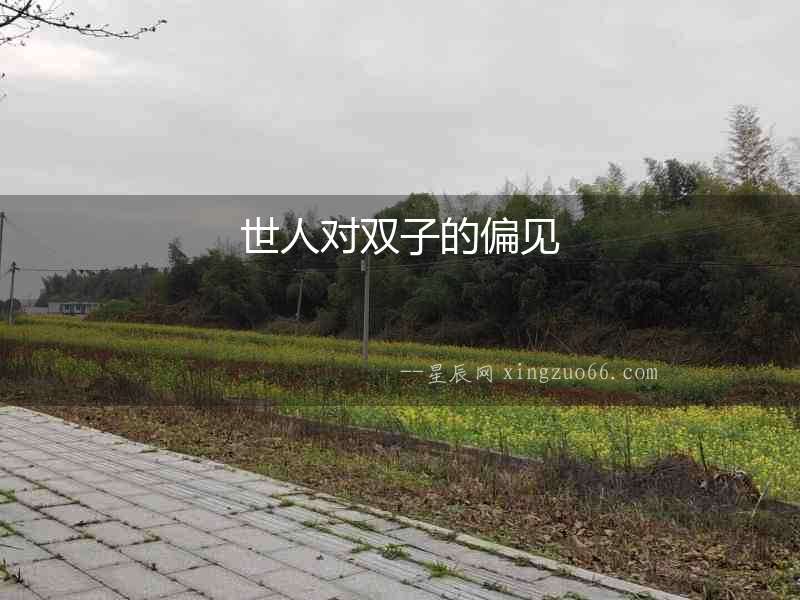 世人對雙子的偏見