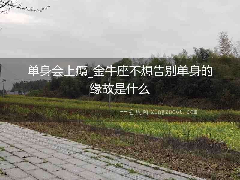 單身會上癮_金牛座不想告別單身的緣故是什么