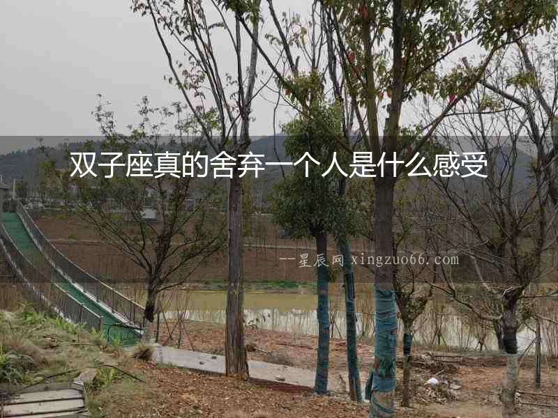 雙子座真的舍棄一個人是什么感受