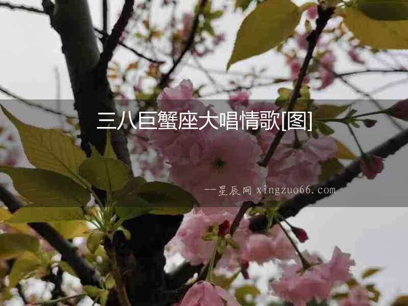 三八巨蟹座大唱情歌[圖]
