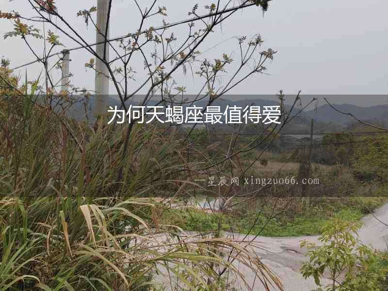 為何天蝎座最值得愛