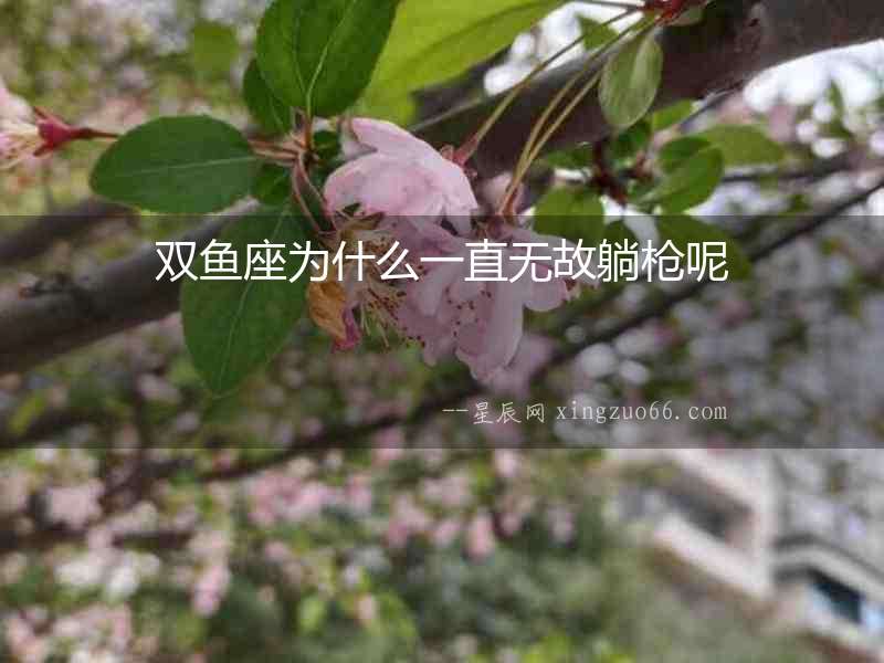 雙魚座為什么一直無故躺槍呢