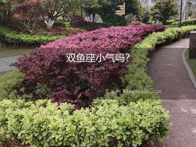 雙魚座小氣嗎？