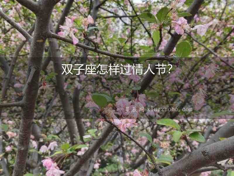 雙子座怎樣過情人節(jié)？