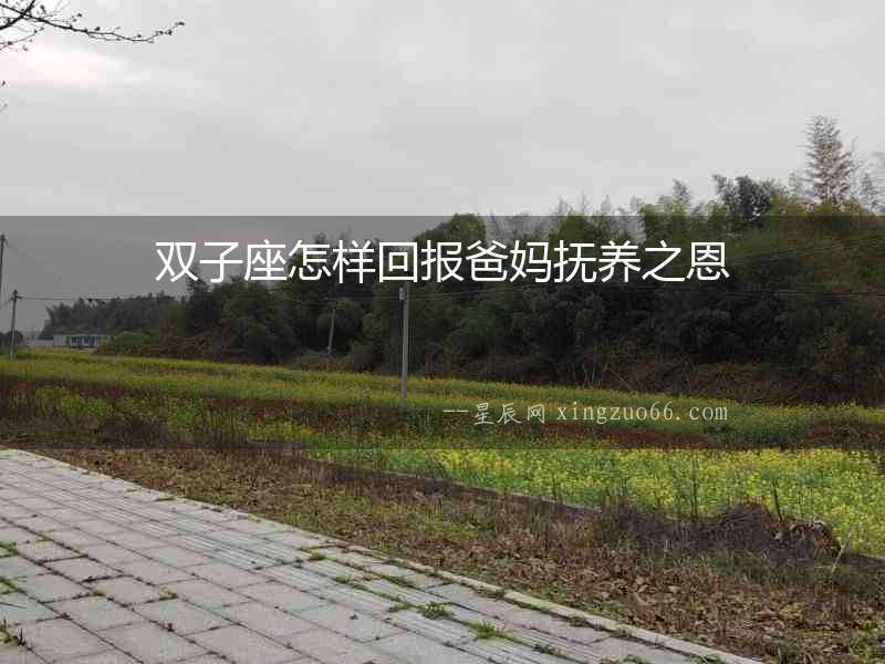 雙子座怎樣回報爸媽撫養之恩