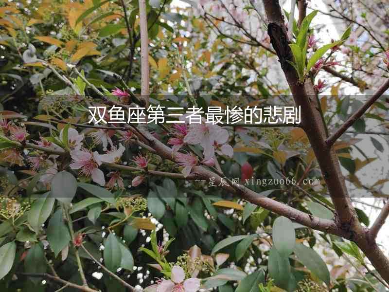 雙魚座第三者最慘的悲劇