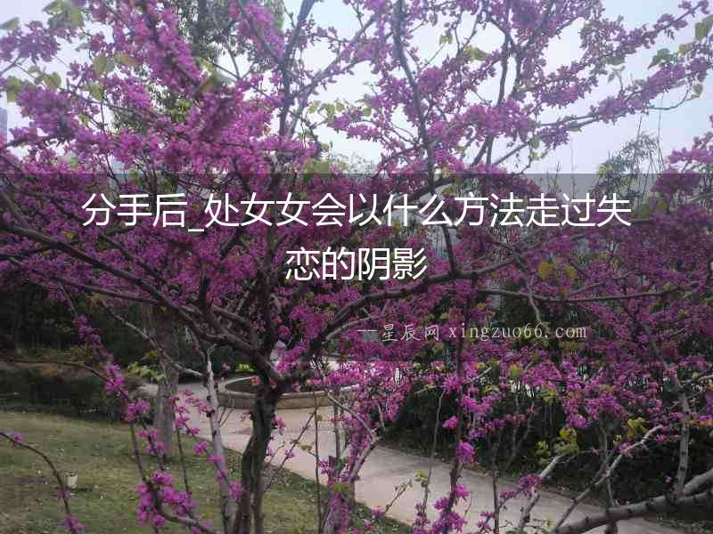 分手后_處女女會以什么方法走過失戀的陰影