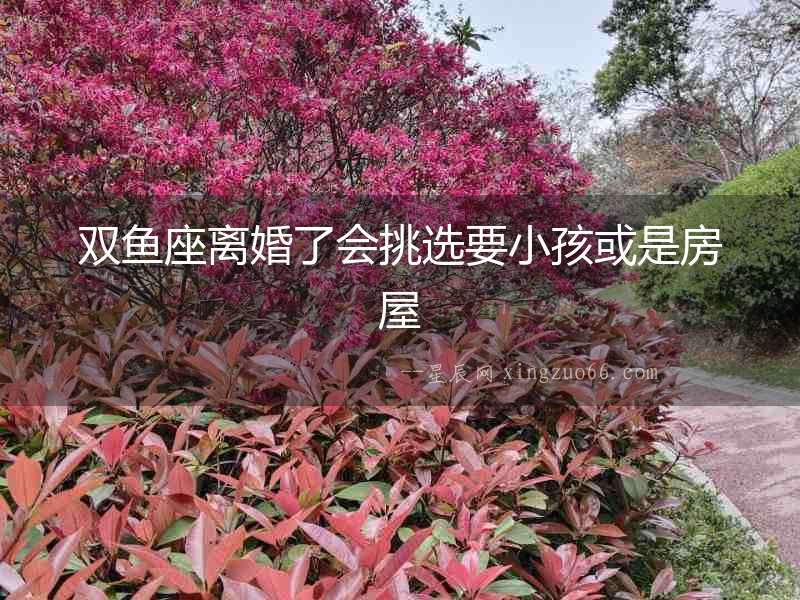 雙魚座離婚了會挑選要小孩或是房屋