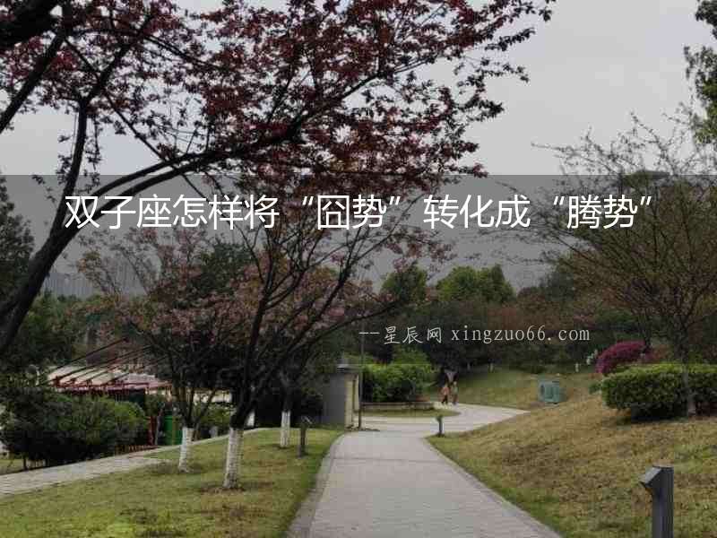 雙子座怎樣將“囧勢”轉化成“騰勢”