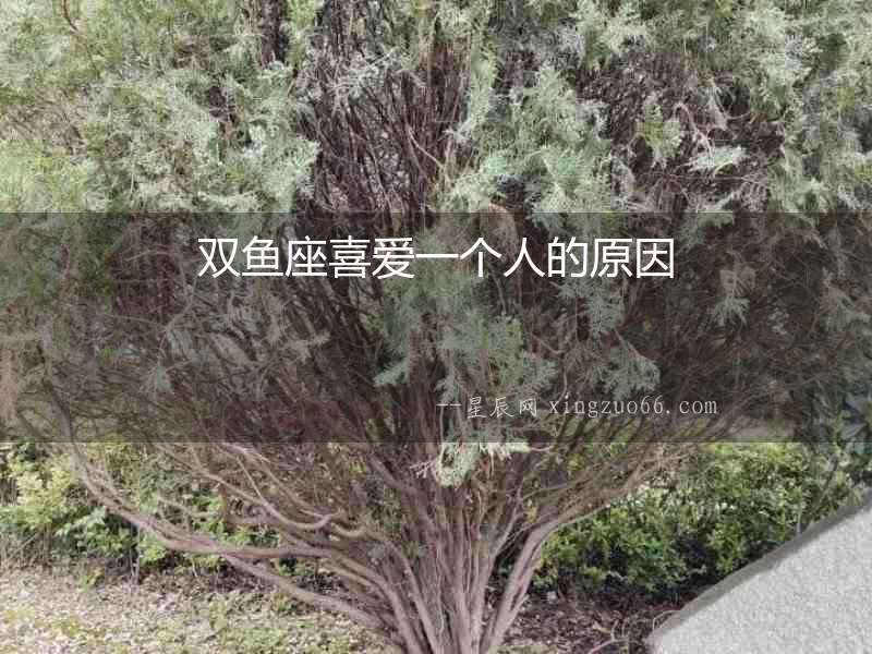 雙魚座喜愛一個人的原因