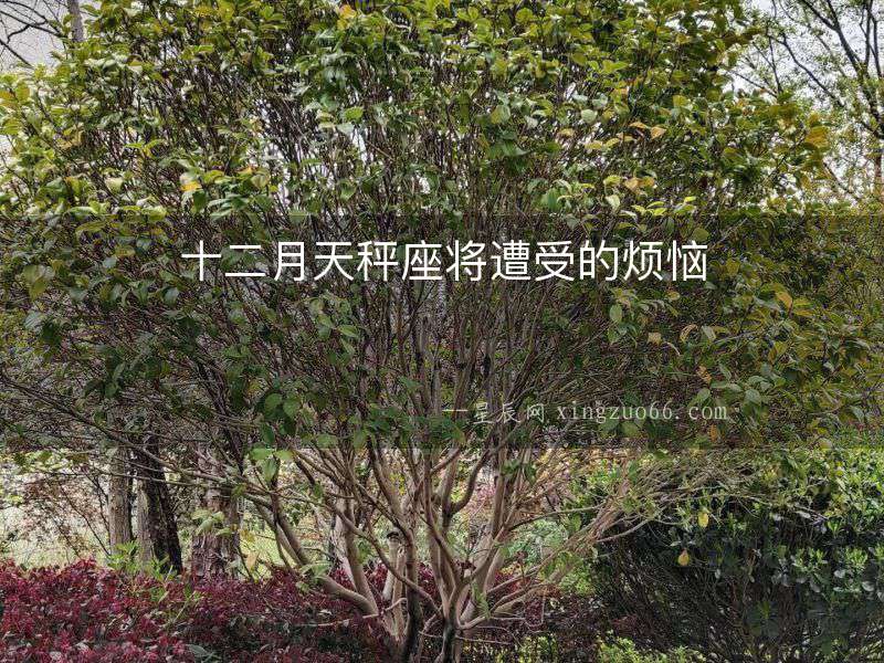 十二月天秤座將遭受的煩惱