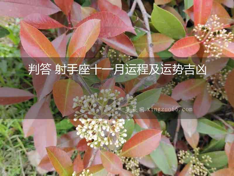 判答 射手座十一月運程及運勢吉兇